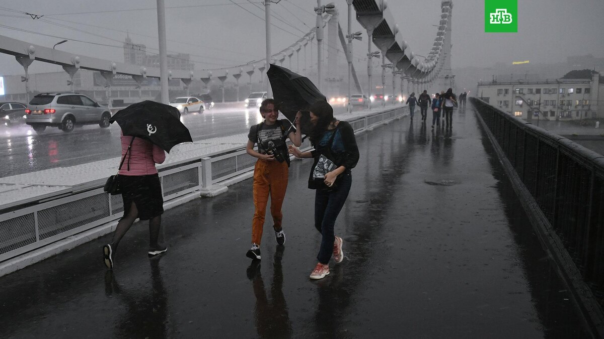    Фото: РИА Новости © 2025, Максим Блинов