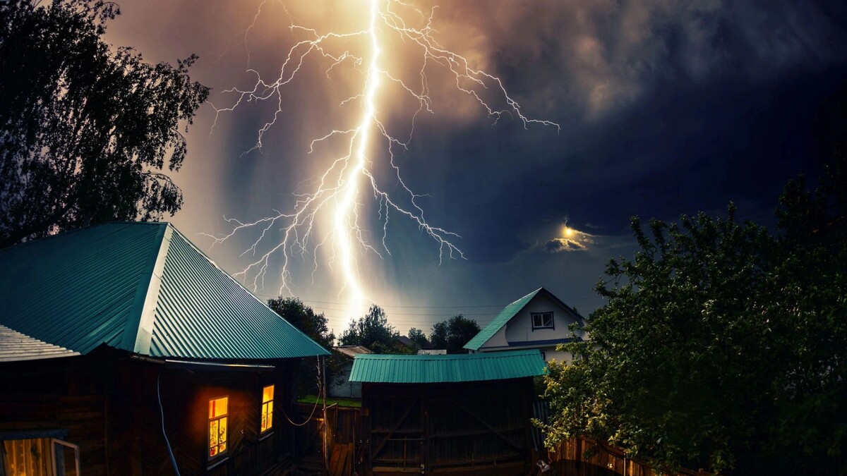    Фото: Dudarev Mikhail/Shutterstock/Fotodom