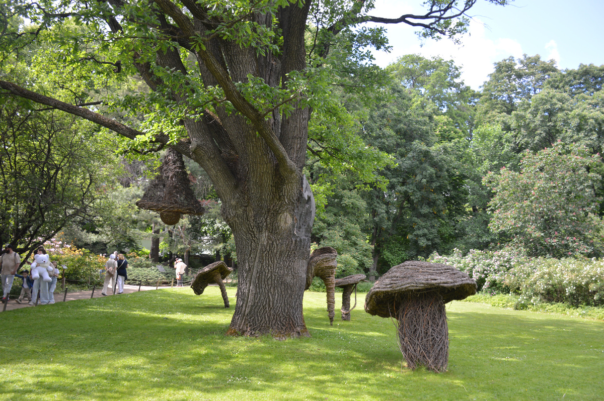 Все фотографии в статье мои и сделаны 5 июня 2025