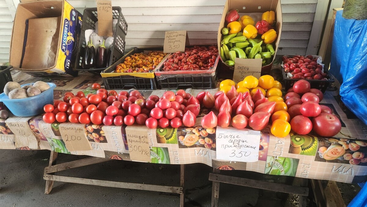     Источник: vostokmedia.com