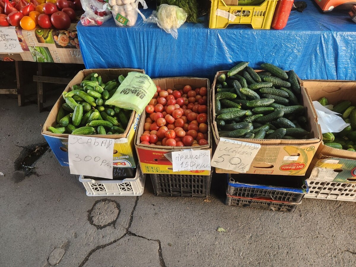     Источник: vostokmedia.com