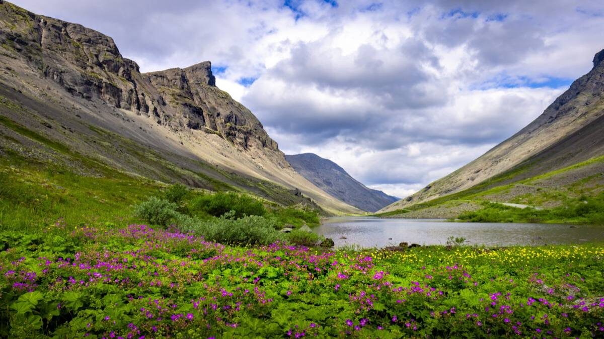    Фото: Shutterstock