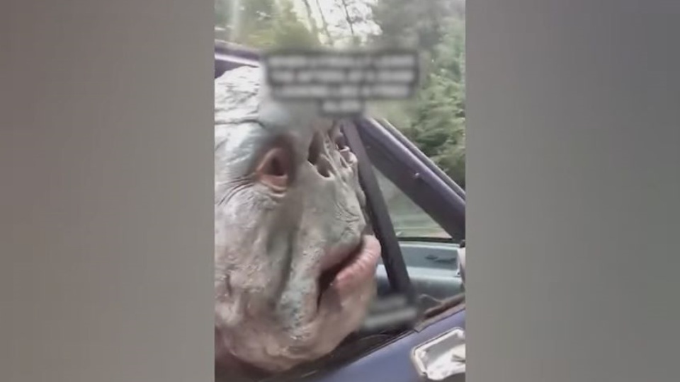 Что это было? Самые странные и пугающие находки в сети
