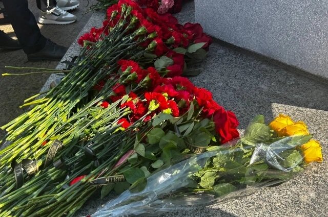    Фото: АиФ/ Владлена Курылева