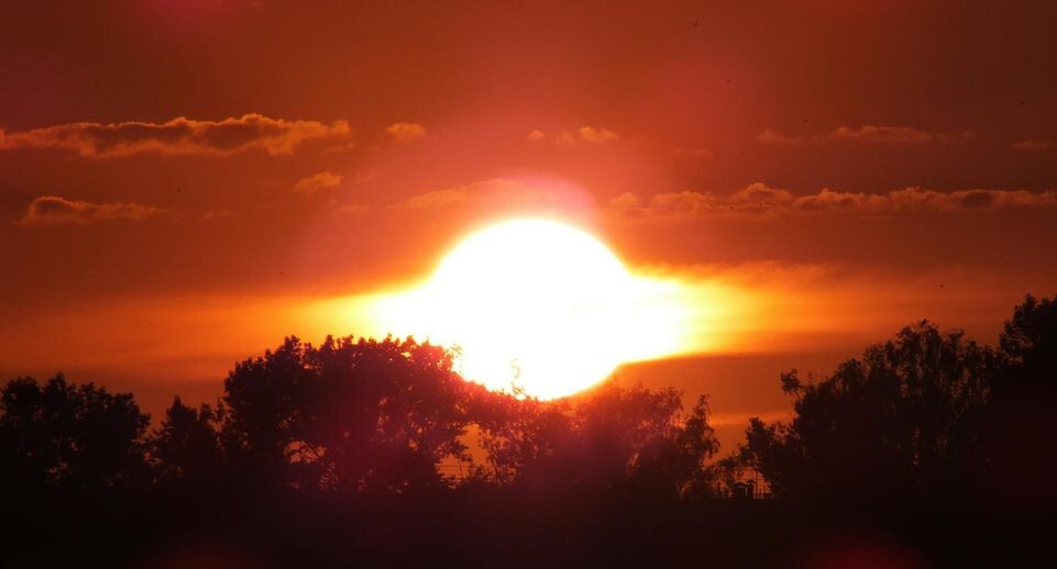    Victor Lisitsyn / www.globallookpress.com