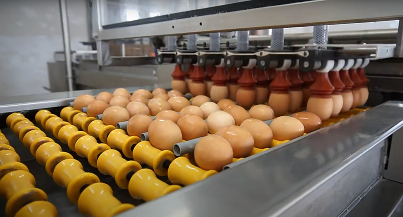 Солигорская птицефабрика ежегодно производит 354 млн куриных и 120 млн перепелиных яиц. Предприятие планирует увеличить объемы продукции.