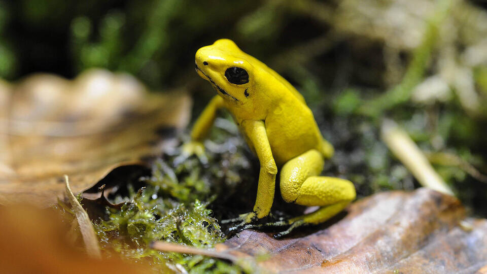 Фото: © Imago/TASS