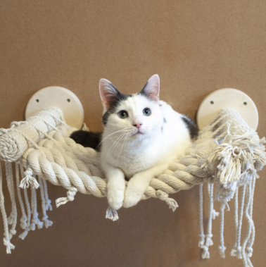 фото с сайта https://xn--80aeaffd7aflilc4aj.xn--p1ai/catalog/tovary-dlya-zhivotnyh/dlya-koshek/kogtetochki-i-igrovye-kompleksy-1148/product/gamachok-dlya-koshek-catbridges-40kh40sm-na-kronshteynakh-39516