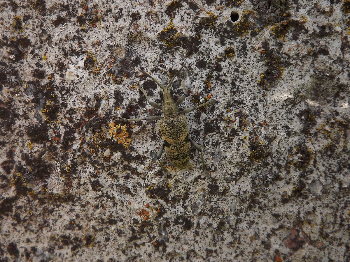 На бетонном столбе 30.05.25