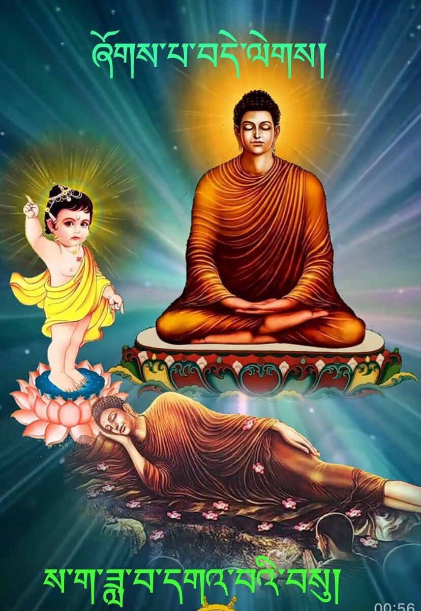 Поздравление от ламы Джамьянга в вацапе🙏🙏🙏