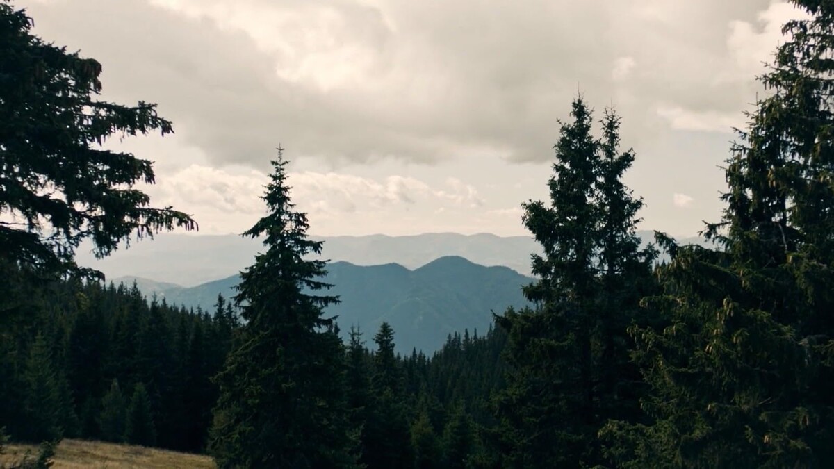 Кадр из сериала