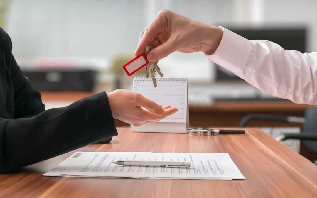 Фото из открытых источников.