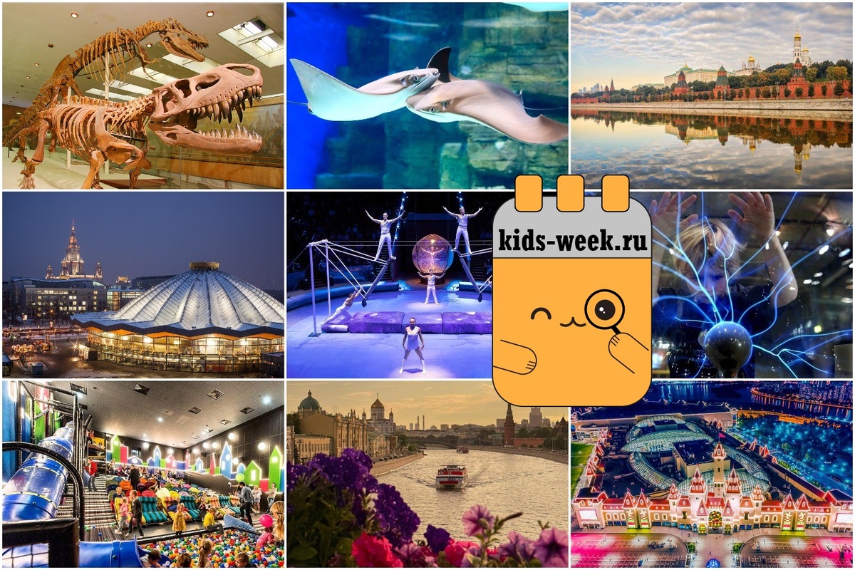 Куда пойти с ребенком в плохую погоду или дождь в Москве. Подборка от kids-week.ru