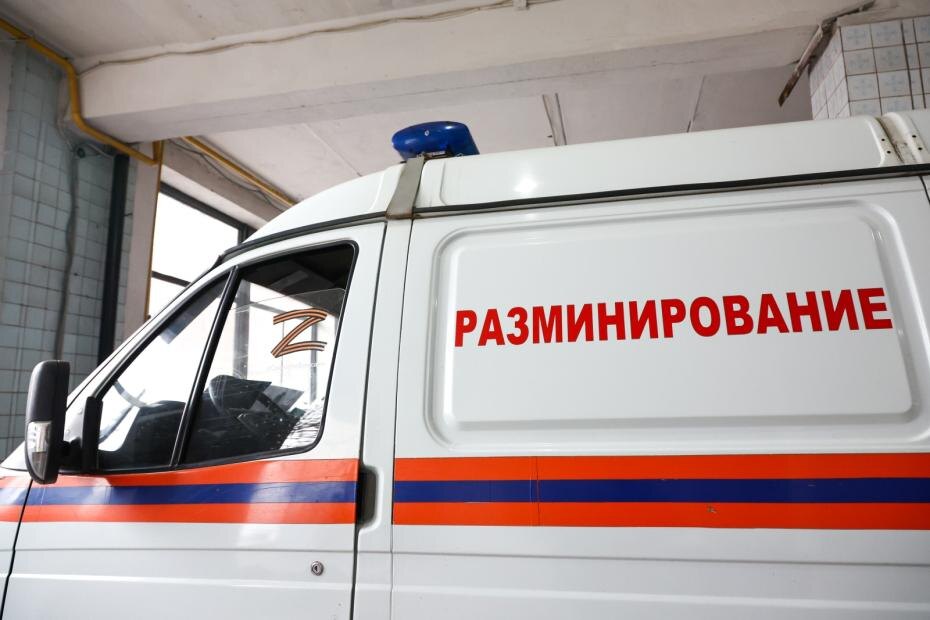    Наталья Шатохина/NEWS.ru