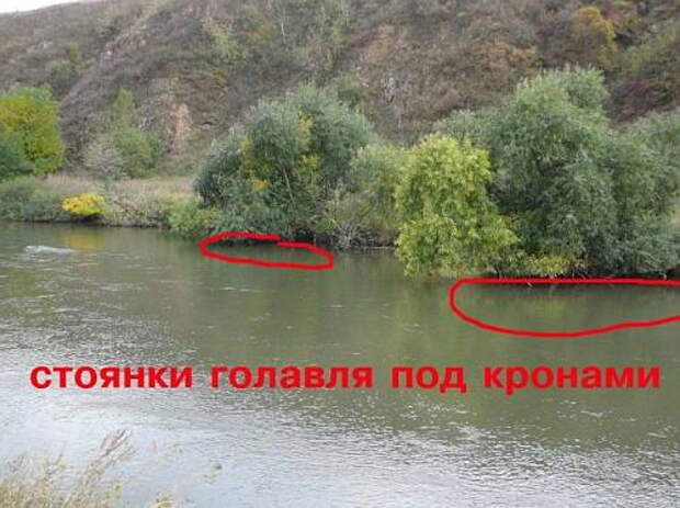 Фото с сайта: https://r.mt.ru/r4/photoCE16/20718398752-0/jpg/bp.jpeg