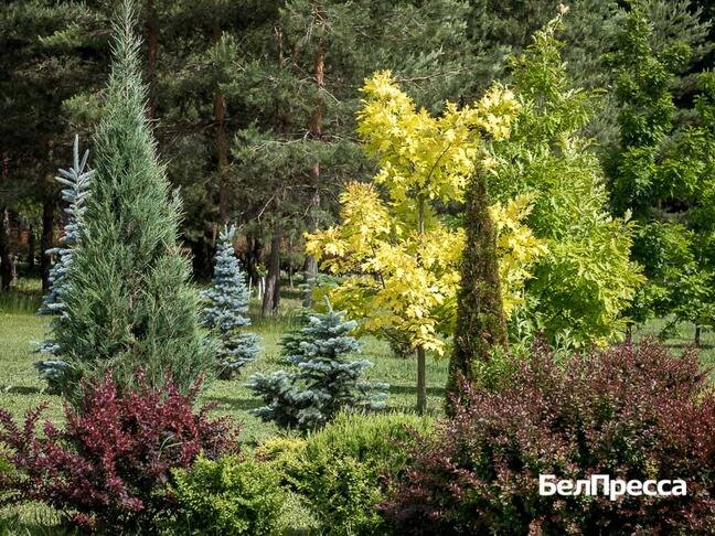 Фото: Павел Колядин