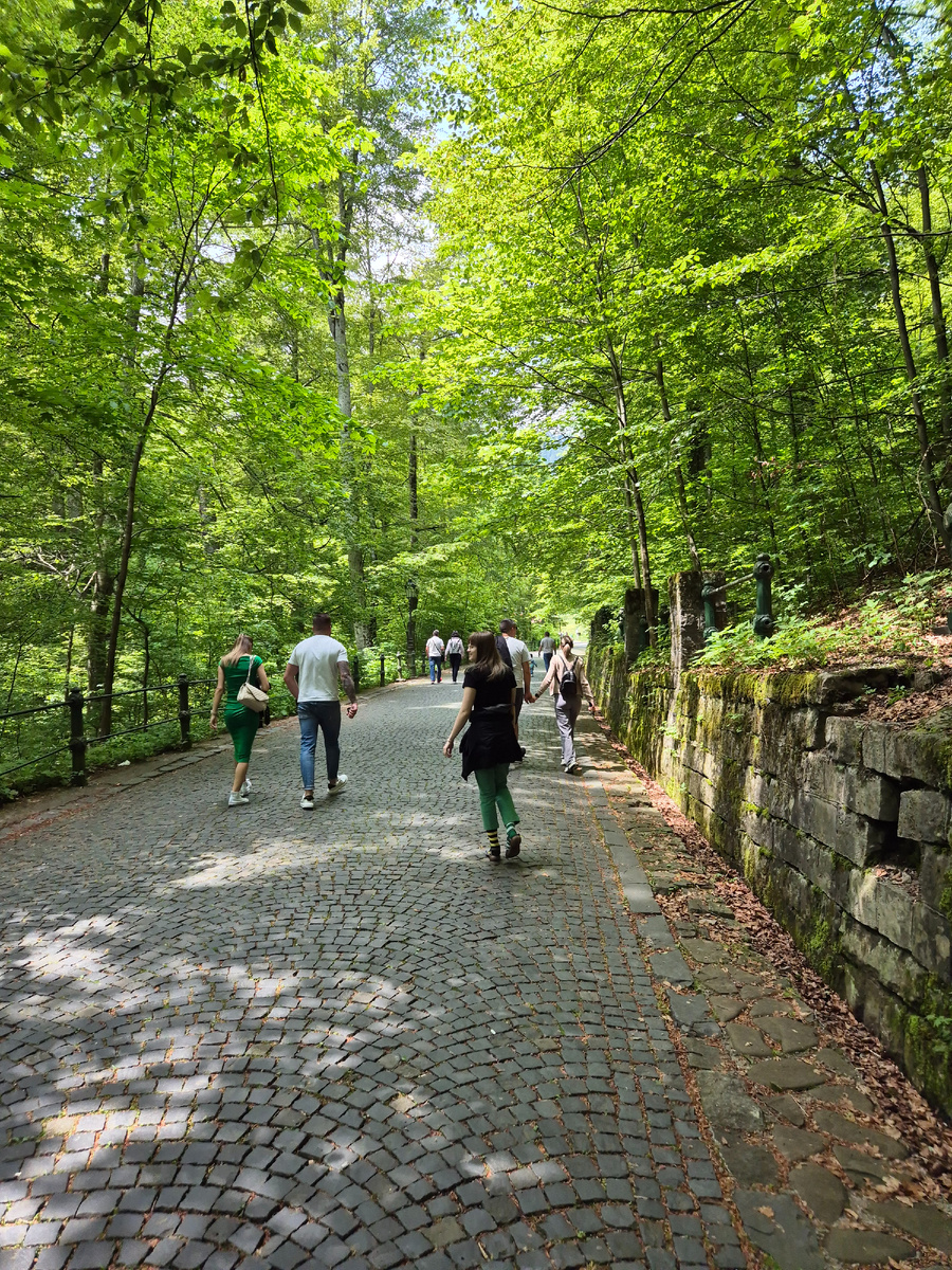 Идем во дворец по тенистым и не очень дорожкам.