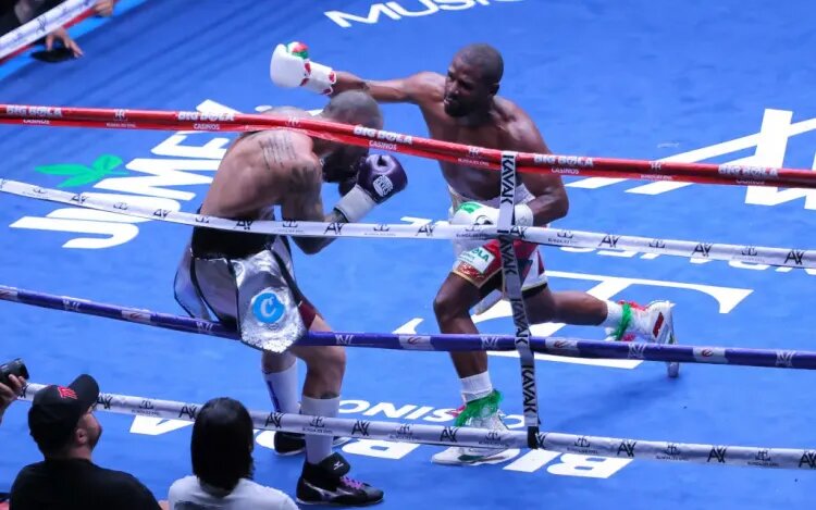    Флойд Мейвезер и Джон Готти III / Источник фото: Getty Images