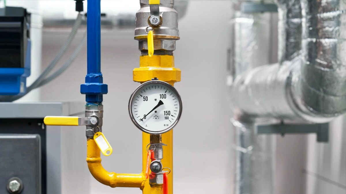    Фото: Ambiento/Shutterstock/Fotodom