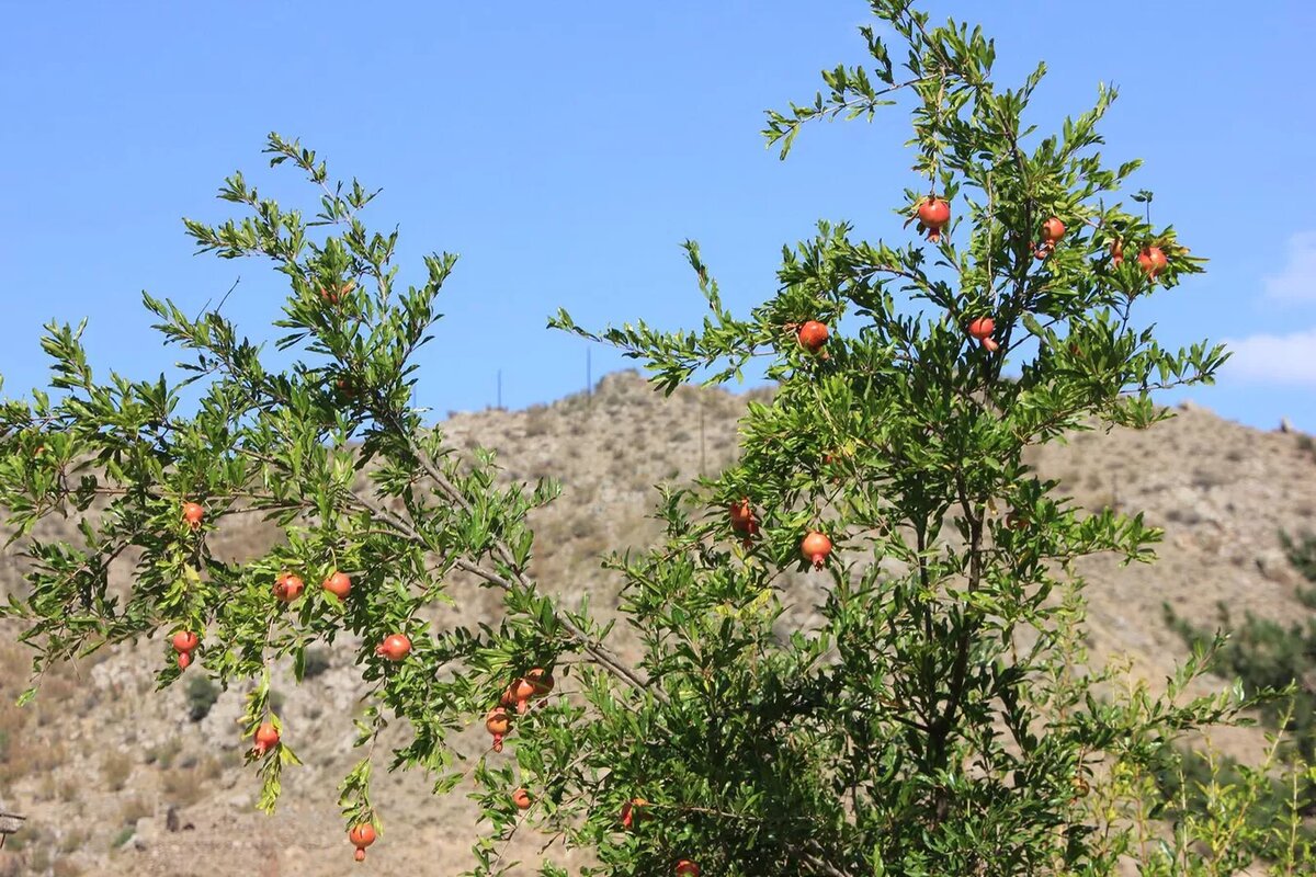 © Photo : provided by Yuliana Davidyuk