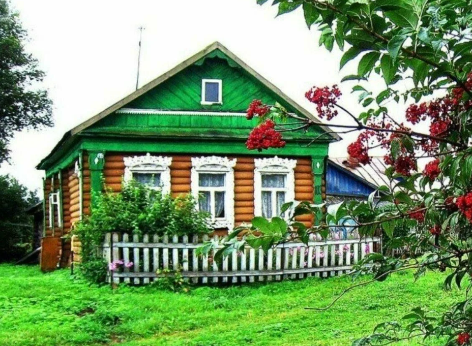 Яндекс картинки