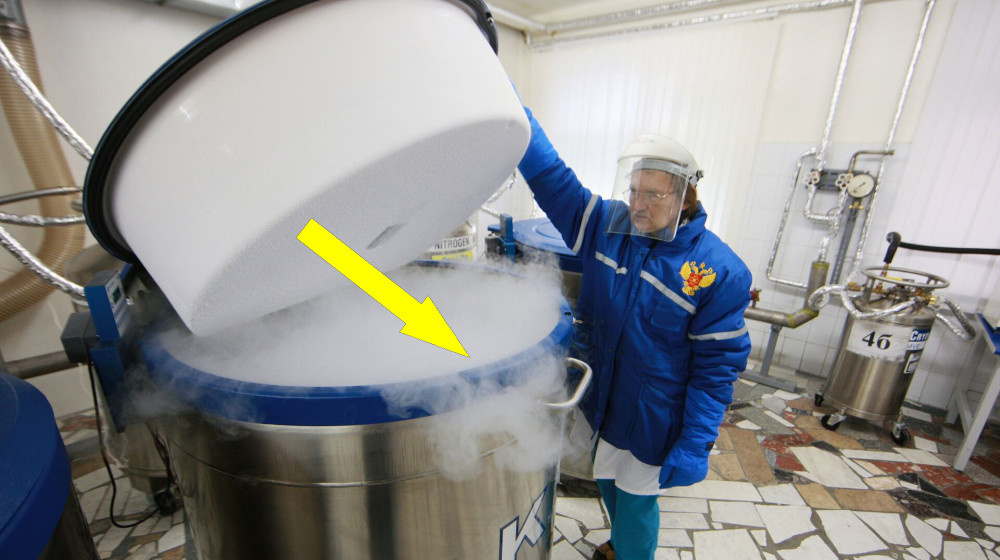    Китайские ученые заморозили мозг и не поверили своим глазам спустя полтора года