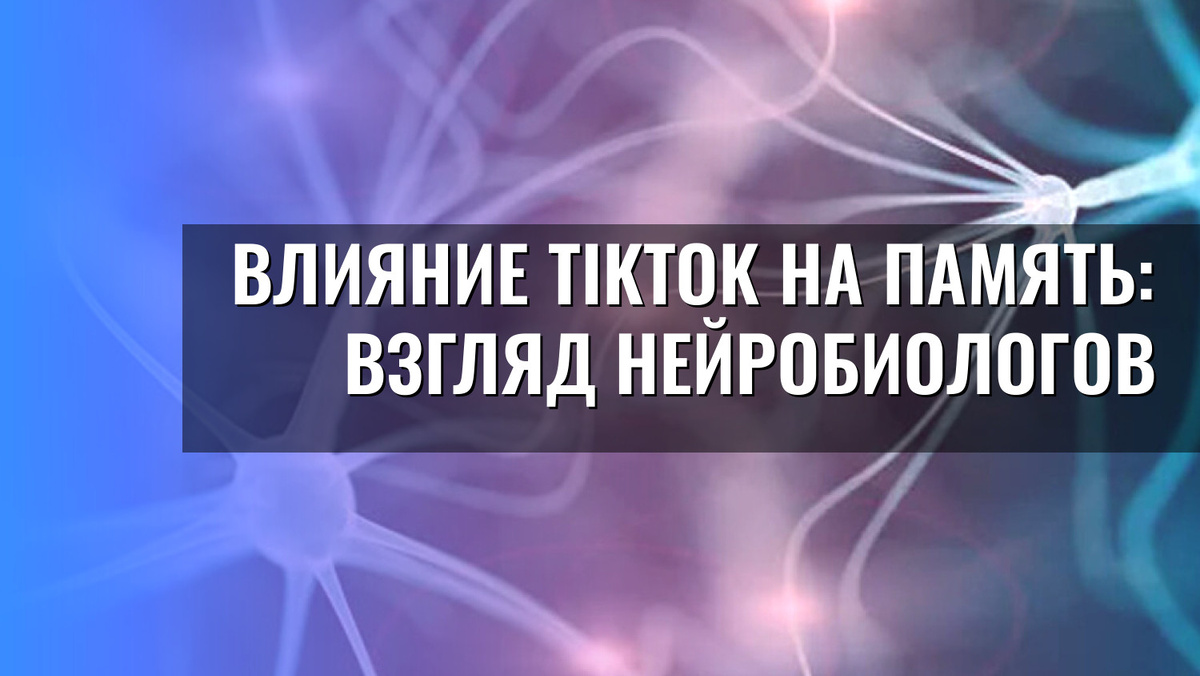   Влияние TikTok на память: взгляд нейробиологов