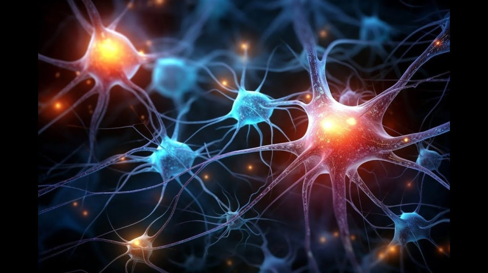    Влияние TikTok на память: взгляд нейробиологов