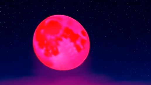 Фотография с яндекс картинок