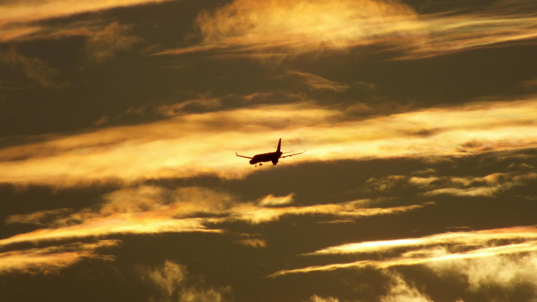    Фото: © Victor Lisitsyn/Globallookpress