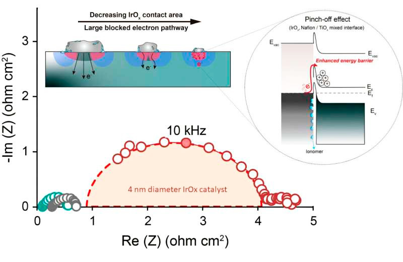Сопротивление переноса электронов на границе слоя катализатора/диффузионного слоя.