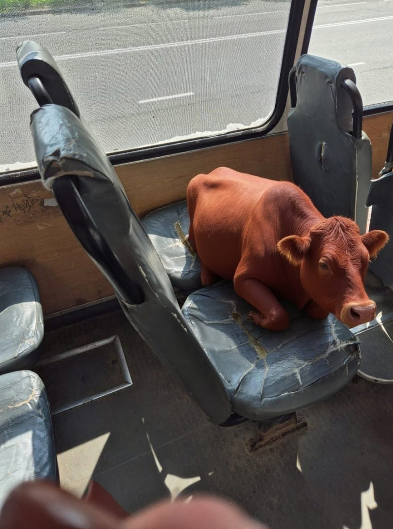    Маршрутки в Петрозаводске сравнили в соцсетях с помещениями для скотаКарелия, Петрозаводск | Вкратце / ВК