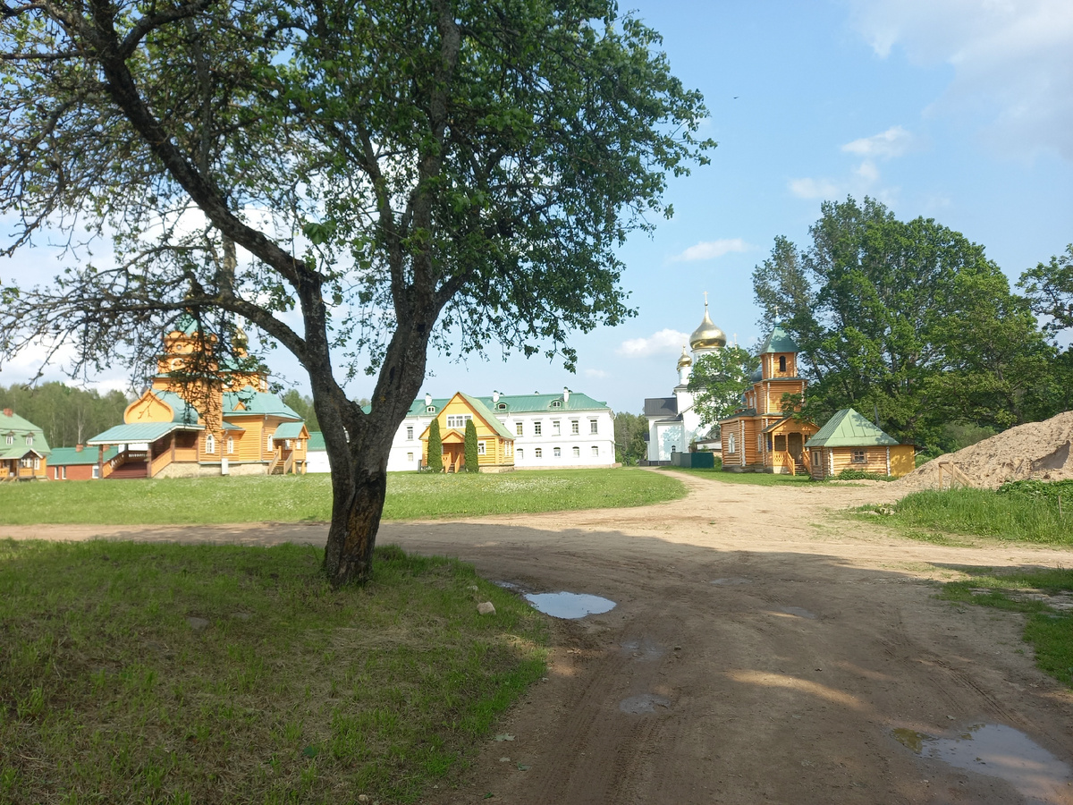 фото от 11.06.2025