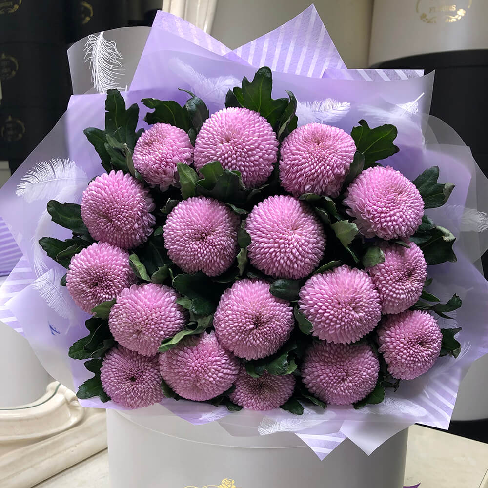 Хризантема