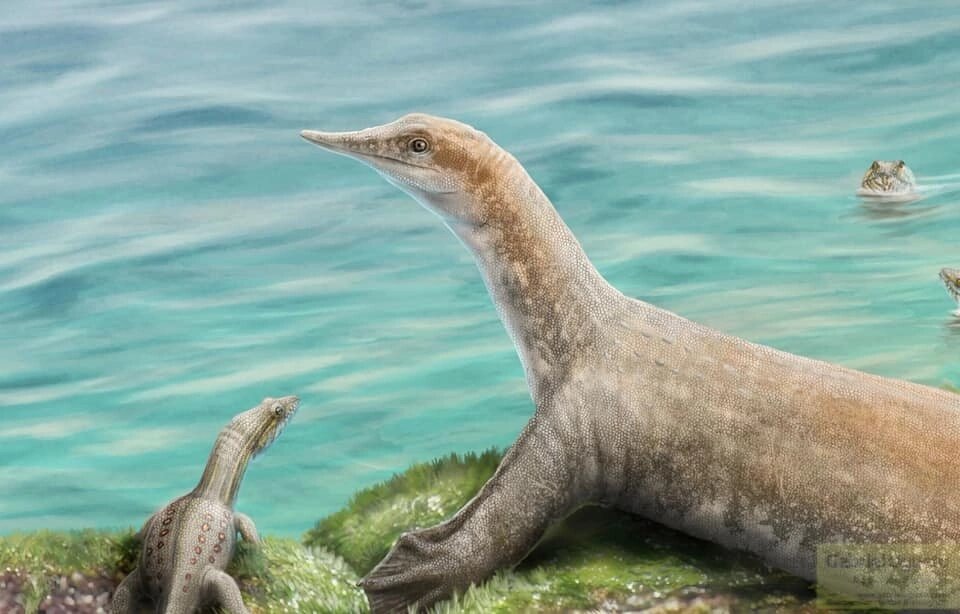 Дианопахизавр (крупный) и вуменгозавр (мелкий слева). Арт от Габриэля Угуэто.