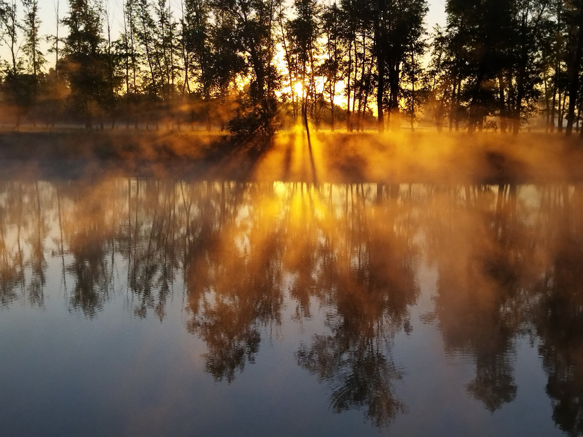 фото: Zamir Usmanov/Global Look Press