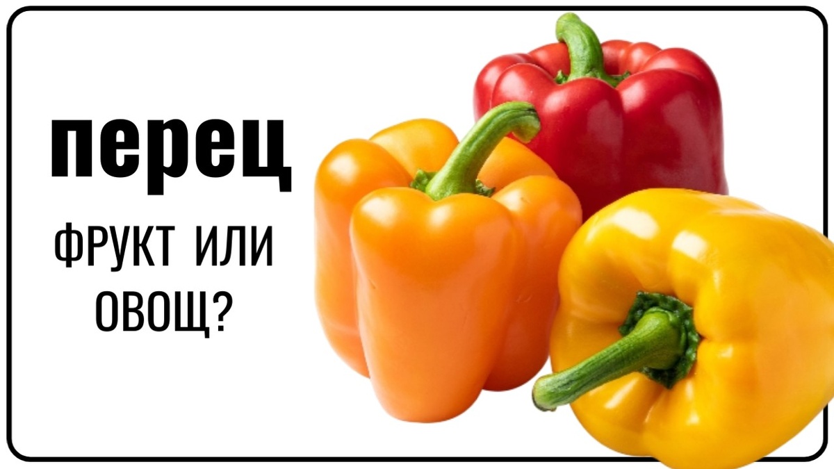 Перец овощ или фрукт