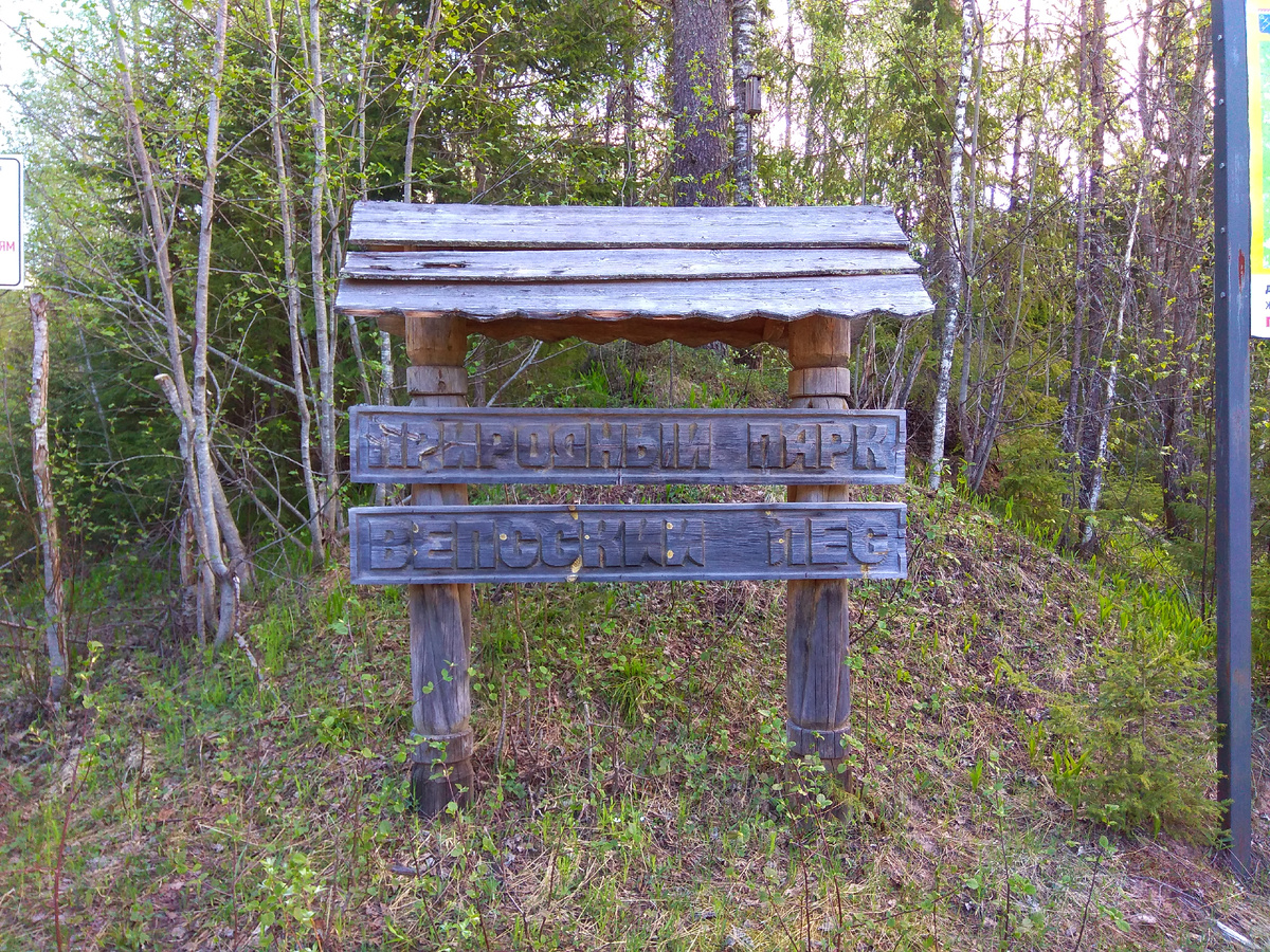 Природный парк «Вепсский лес