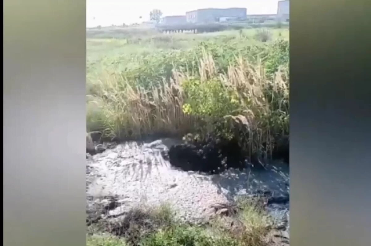    Разлив нефти повредил плодородную почву в Татарстане