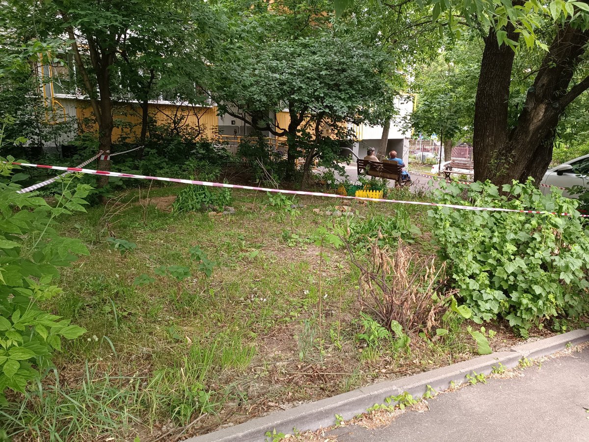 Разбить то разбили, но высаживали всё в жару, без полива