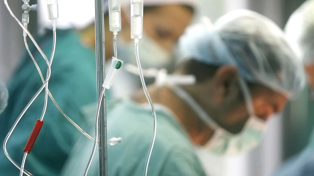    Фото: Djols/Shutterstock/Fotodom