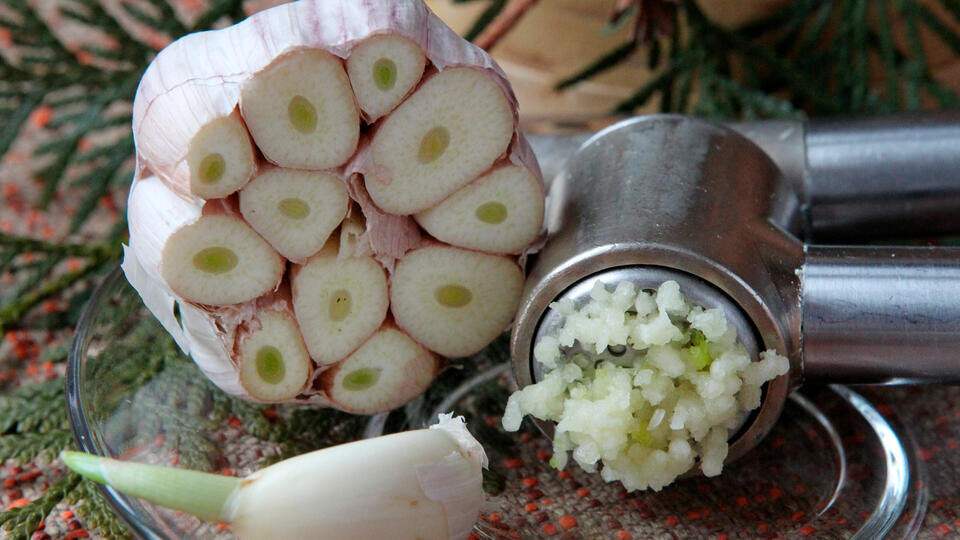 Фото: © РИА Новости/Мария Девахина