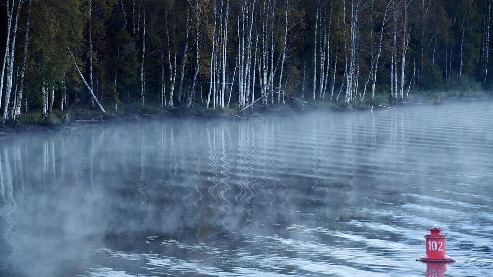 Фото: © РИА Новости/Владимир Вяткин