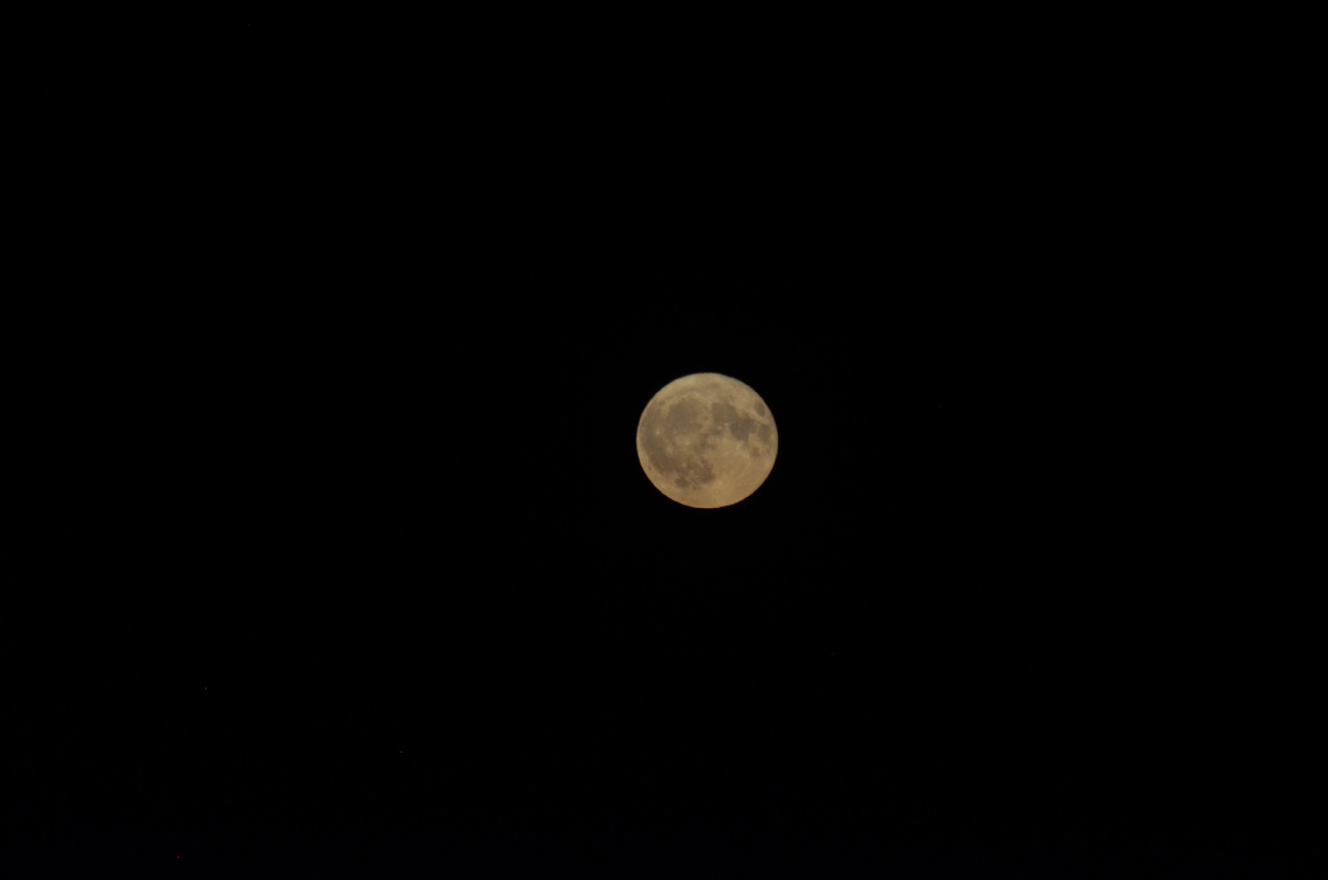 Nikon D7000 Sigma 300