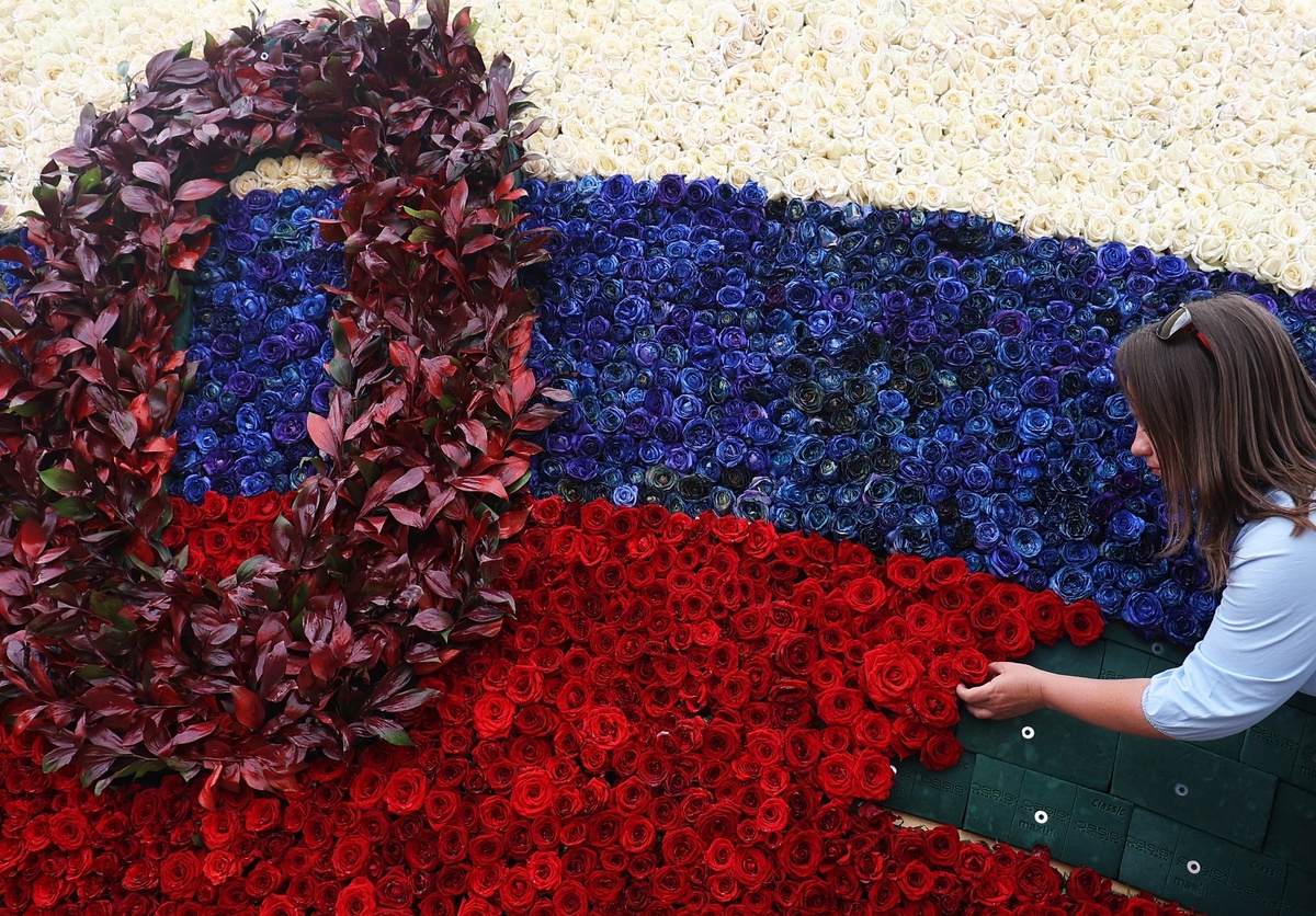    В Краснодаре люди создают российский триколор из бутонов живых роз / РИА Новости / Виталий Тимкив