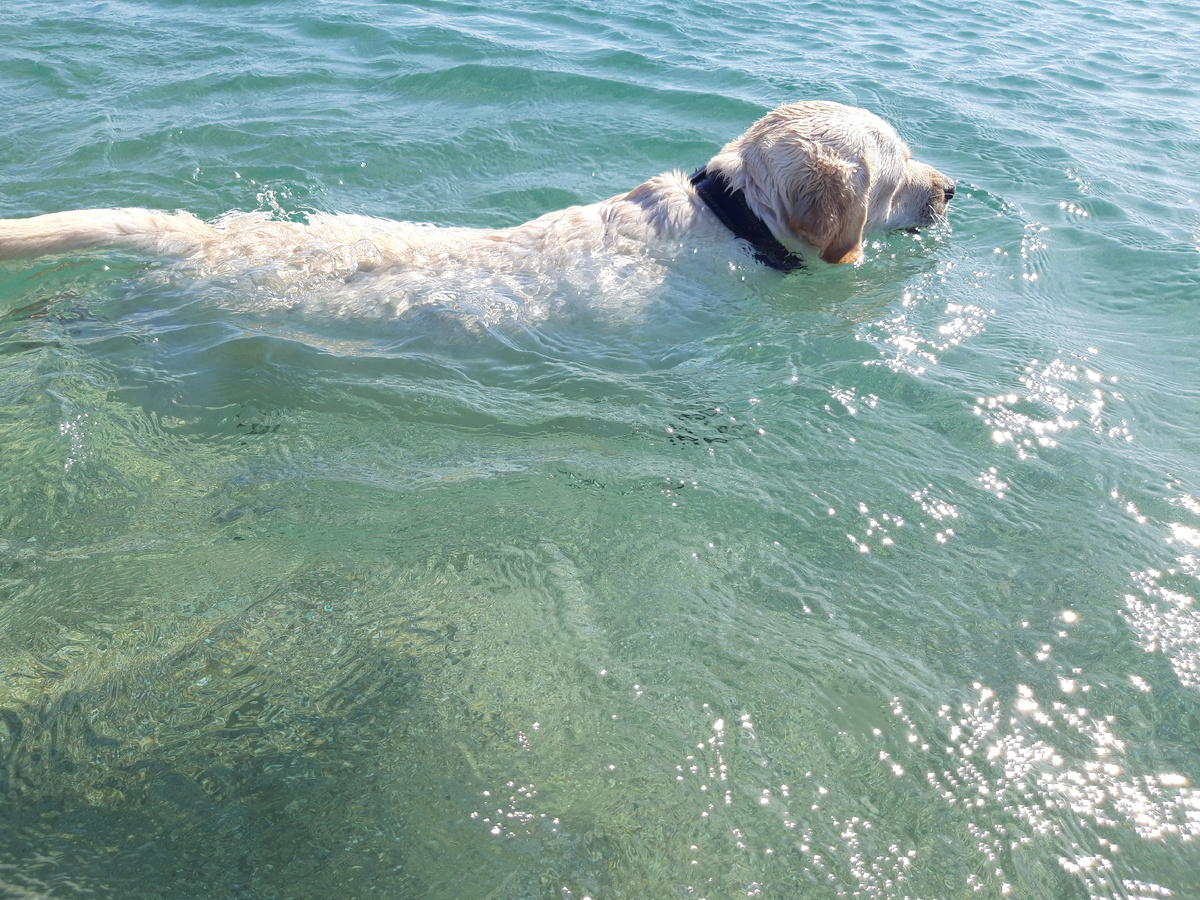 Черное море осенью