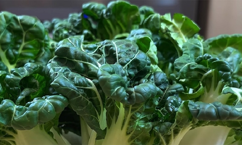 Говядина и овощи по-азиатски: сочный полезный ужин