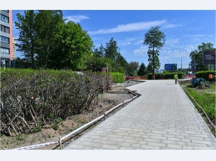     Виталий Кокшаров