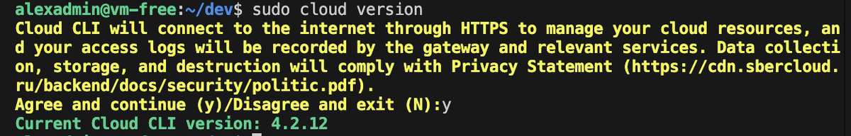 Рисунок 2. Вывод в консоль после выполнения команды sudo cloud version.