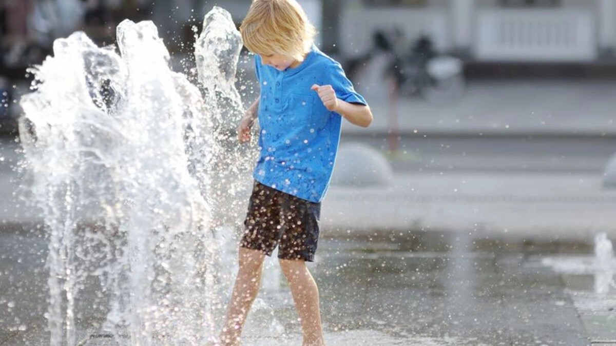    Фото: Maria Sbytova/Shutterstock/Fotodom